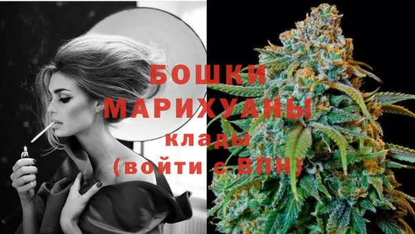 стаф Ростов