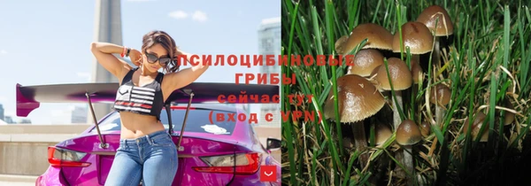 метамфетамин Белокуриха
